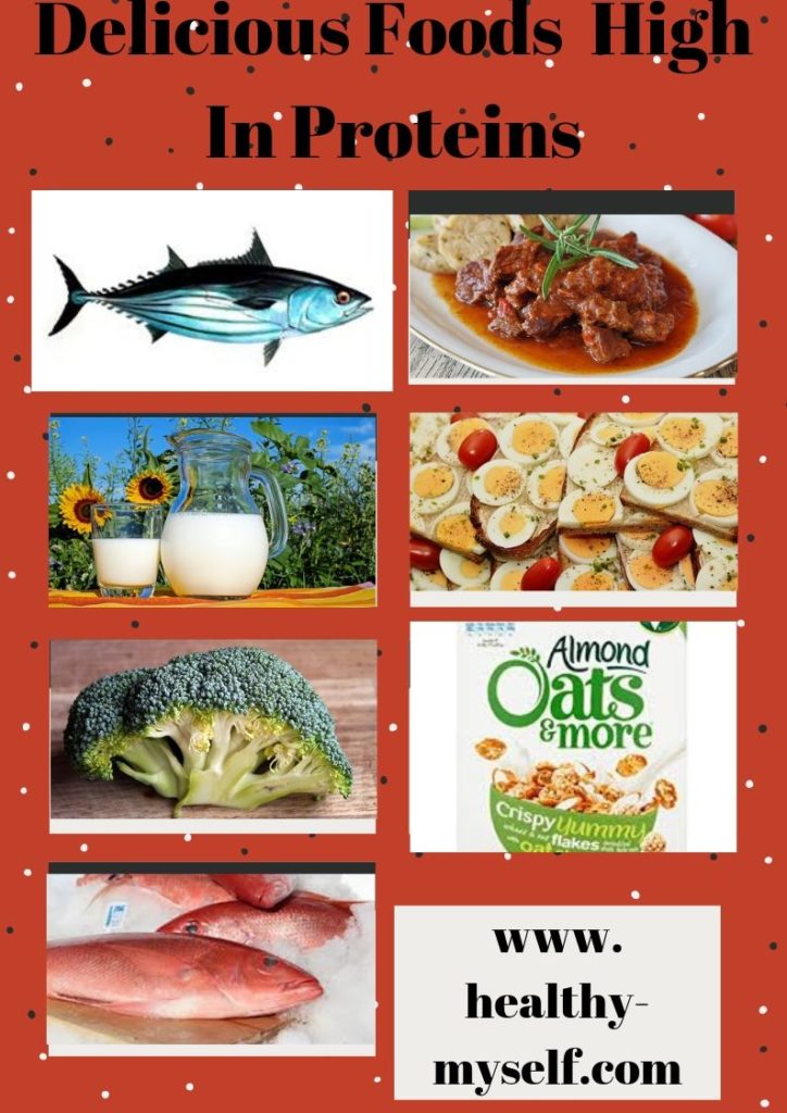 Foods Rich In Proteins  Image - healthy-myself.com