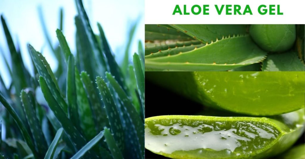 Aloe Vera Gel-Healthy-myself.com