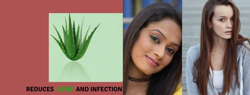 Aloe vera reduces Acne and Infection -healthy-myself.com