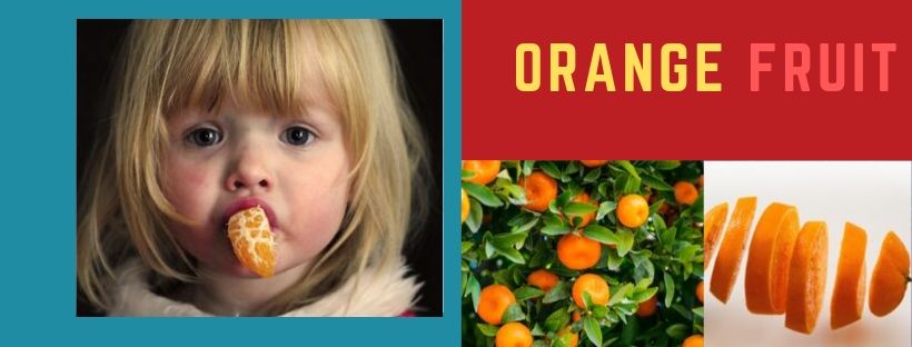 Information about Orange Fruit /healthy-myself.com