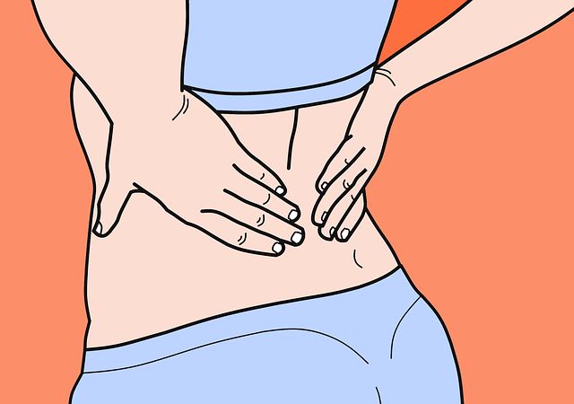 What is Low Back Pain