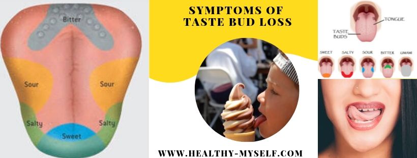 Symptoms Of Taste Bud Loss /healthy-myself.com
