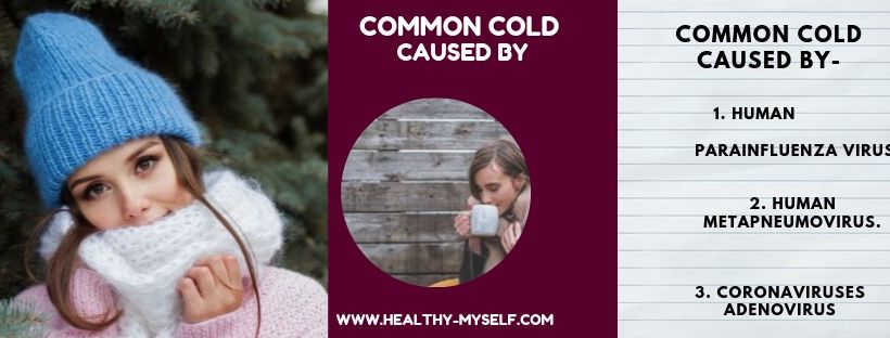 Common Cold Caused By-healthy-myself.com