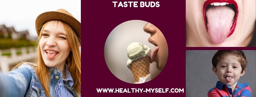Feel About Taste Buds / healthy-myself.com