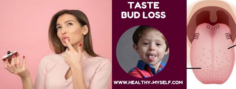 TasteBud Loss /healthy-myself.com