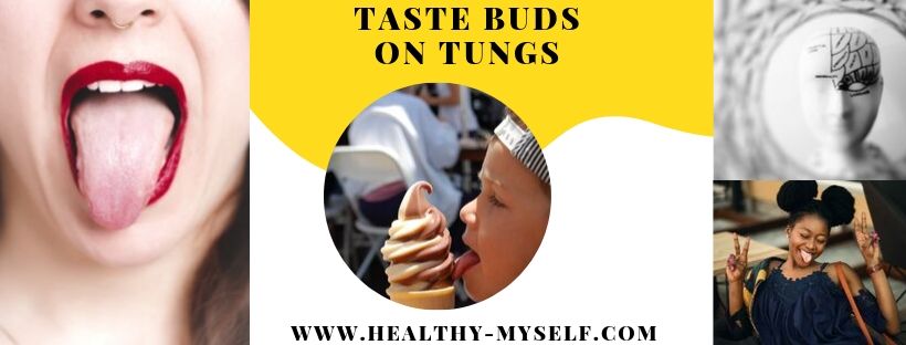 Taste Buds on Tungs /healthy-myself.com