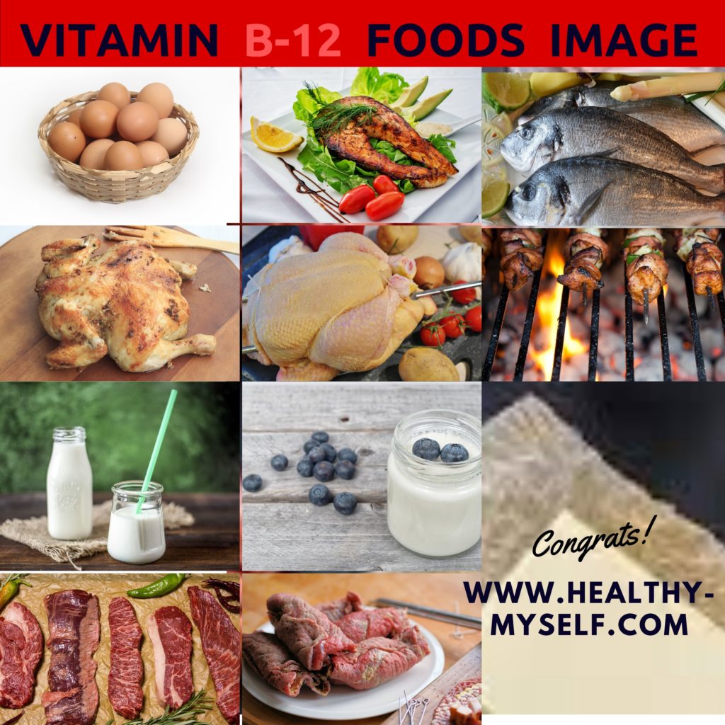 Vitamin B 12 Rich Foods/www.healthy-myself.com