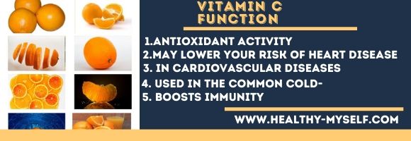 Vitamin c Function healthy-myself.com