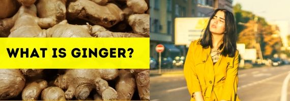 What is Ginger? healthy-myself.com