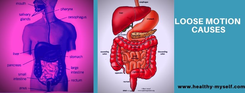 loose-motion-home-remedies-cause-prevention-tips-get-instant-cure