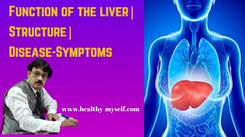 Function Of The Liver