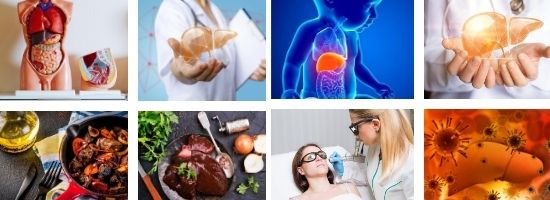 Function of the Liver Healthy-myself.com